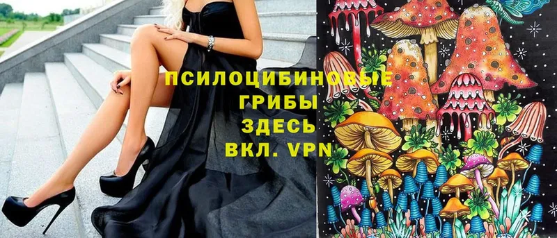 Псилоцибиновые грибы ЛСД  где продают   blacksprut рабочий сайт  Анжеро-Судженск 